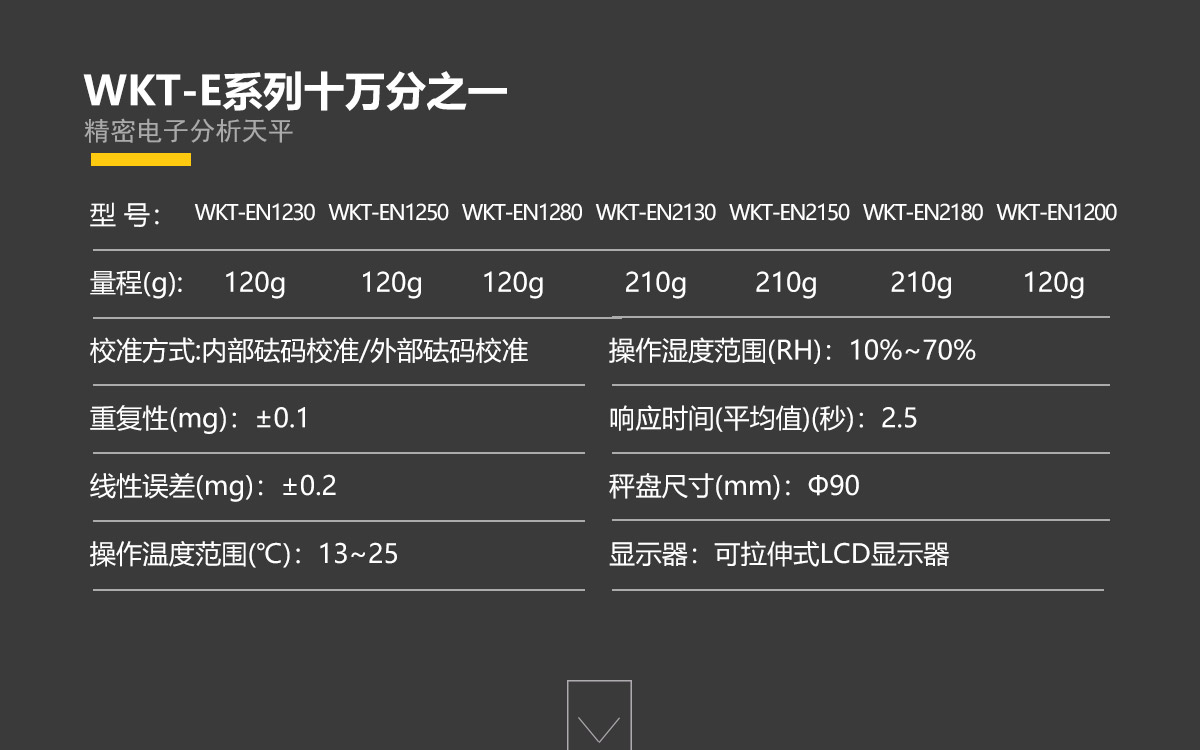 WKT-E系列 精密電子分析天平