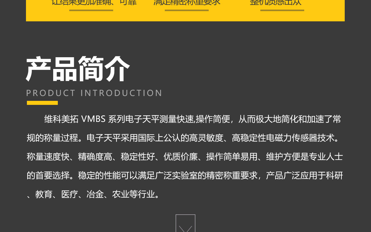 VMBS系列 便攜式精密電子天平