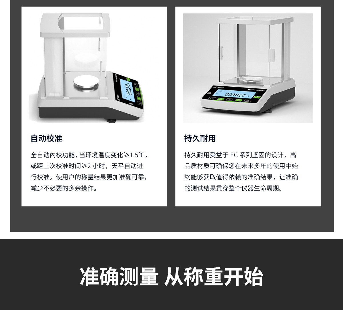 EC系列電子分析天平（十萬分之一）